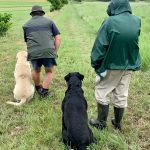WhatsApp Image 2020-07-13 at 7.03.25 PM Focused retriever training